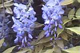 20010403028.JPG