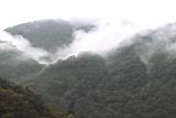 20010403038.JPG