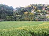 135-3579_IMG.JPG