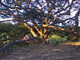 135-3581_IMG.JPG