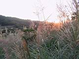 135-3585_IMG.JPG