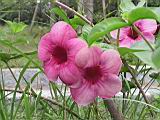 135-3594_IMG.JPG