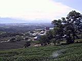 136-3612_IMG.JPG