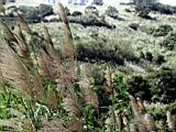 136-3618_IMG.JPG