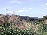 136-3620_IMG.JPG