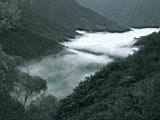 136-3662_IMG.JPG