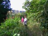 136-3674_IMG.JPG