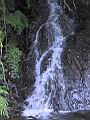 136-3676_IMG.JPG