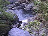 136-3678_IMG.JPG
