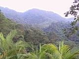 138-3826_IMG.JPG