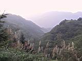 138-3827_IMG.JPG