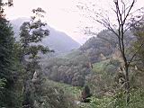 138-3829_IMG.JPG