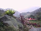 138-3832_IMG.JPG