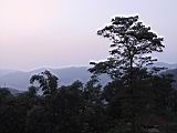 138-3835_IMG.JPG