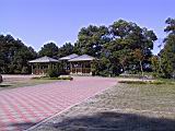 snow_mt005.JPG