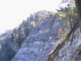 saulai_mt015.JPG