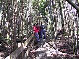 140-4056_IMG.JPG