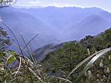 140-4060_IMG.JPG