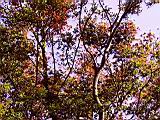 140-4064_IMG.JPG