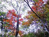 140-4068_IMG.JPG