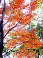 140-4069_IMG.JPG