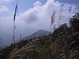 140-4082_IMG.JPG