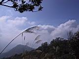 140-4087_IMG.JPG