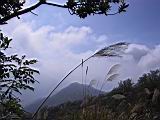 140-4088_IMG.JPG