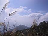140-4089_IMG.JPG