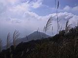 140-4090_IMG.JPG