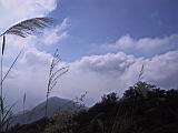 140-4091_IMG.JPG