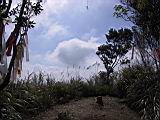 140-4094_IMG.JPG