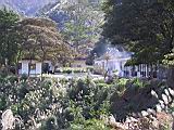 141-4167_IMG.JPG