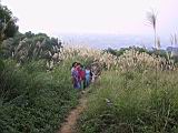 141-4173_IMG.JPG