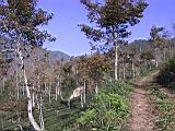 141-4181_IMG.JPG