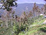 141-4182_IMG.JPG