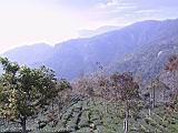 141-4183_IMG.JPG