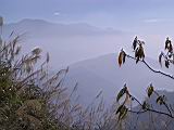 141-4186_IMG.JPG