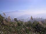 141-4187_IMG.JPG