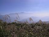141-4188_IMG.JPG