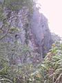 142-4204_IMG.JPG
