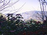 142-4207_IMG.JPG