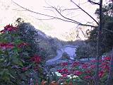 142-4208_IMG.JPG