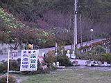 142-4210_IMG.JPG