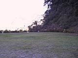 142-4213_IMG.JPG