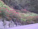 142-4214_IMG.JPG