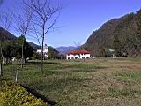 142-4223_IMG.JPG