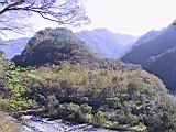 142-4247_IMG.JPG