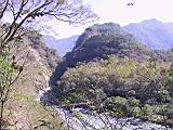 142-4248_IMG.JPG