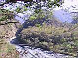 142-4249_IMG.JPG
